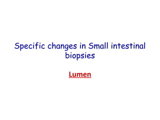Specific changes in Small intestinal
biopsies
Lumen

 