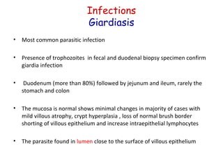 Infections
Giardiasis
•

Most common parasitic infection

•

Presence of trophozoites in fecal and duodenal biopsy specimen confirm
giardia infection

•

Duodenum (more than 80%) followed by jejunum and ileum, rarely the
stomach and colon

•

The mucosa is normal shows minimal changes in majority of cases with
mild villous atrophy, crypt hyperplasia , loss of normal brush border
shorting of villous epithelium and increase intraepithelial lymphocytes

•

The parasite found in lumen close to the surface of villous epithelium

 