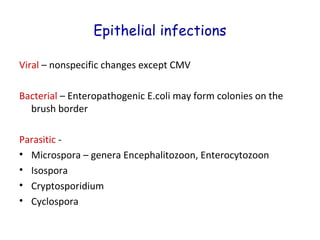 Epithelial infections
Viral – nonspecific changes except CMV
Bacterial – Enteropathogenic E.coli may form colonies on the
brush border
Parasitic • Microspora – genera Encephalitozoon, Enterocytozoon
• Isospora
• Cryptosporidium
• Cyclospora

 