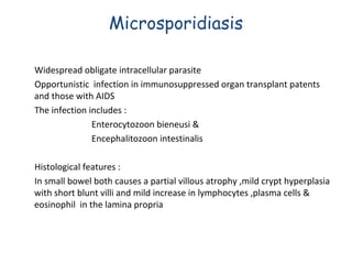 Microsporidiasis
Widespread obligate intracellular parasite
Opportunistic infection in immunosuppressed organ transplant patents
and those with AIDS
The infection includes :
Enterocytozoon bieneusi &
Encephalitozoon intestinalis
Histological features :
In small bowel both causes a partial villous atrophy ,mild crypt hyperplasia
with short blunt villi and mild increase in lymphocytes ,plasma cells &
eosinophil in the lamina propria

 