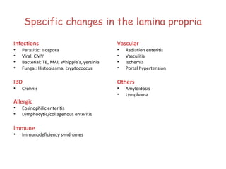 Specific changes in the lamina propria
Infections

Vascular

IBD

Others

•
•
•
•

•

Parasitic: Isospora
Viral: CMV
Bacterial: TB, MAI, Whipple’s, yersinia
Fungal: Histoplasma, cryptococcus

Crohn’s

Allergic
•
•

Eosinophilic enteritis
Lymphocytic/collagenous enteritis

Immune
•

Immunodeficiency syndromes

•
•
•
•

•
•

Radiation enteritis
Vasculitis
Ischemia
Portal hypertension

Amyloidosis
Lymphoma

 