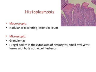 Histoplasmosis
• Macroscopic:
• Nodular or ulcerating lesions in ileum
• Microscopic:
• Granulomas
• Fungal bodies in the cytoplasm of histiocytes; small oval yeast
forms with buds at the pointed ends

 