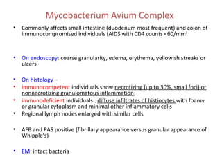 Mycobacterium Avium Complex
•

Commonly affects small intestine (duodenum most frequent) and colon of
immunocompromised individuals (AIDS with CD4 counts <60/mm 3

•

On endoscopy: coarse granularity, edema, erythema, yellowish streaks or
ulcers

•
•

On histology –
immunocompetent individuals show necrotizing (up to 30%, small foci) or
nonnecrotizing granulomatous inflammation;
immunodeficient individuals : diffuse infiltrates of histiocytes with foamy
or granular cytoplasm and minimal other inflammatory cells
Regional lymph nodes enlarged with similar cells

•
•
•

AFB and PAS positive (fibrillary appearance versus granular appearance of
Whipple’s)

•

EM: intact bacteria

 