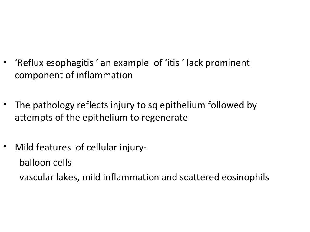 An interpretation of Endoscopic biopsy