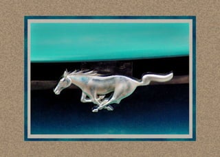 Encounter With Elegance