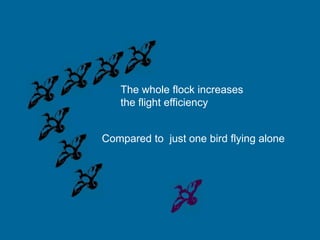 The whole flock increases
the flight efficiency

Compared to just one bird flying alone

 