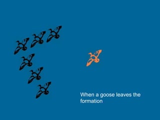 When a goose leaves the
formation..

 