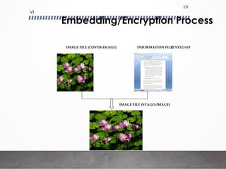Embedding/Encryption Process
VI
10
IMAGE FILE (COVER-IMAGE) INFORMATION FILE/PAYLOAD
IMAGE FILE (STAGO-IMAGE)
 
