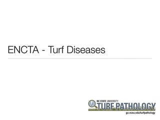 ENCTA - Turf Diseases
 