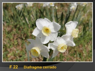 F 22   Diafragma cerrado
 