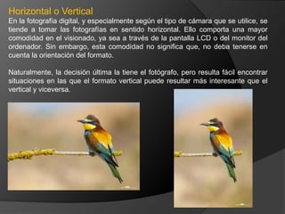 Horizontal o Vertical
En la fotografía digital, y especialmente según el tipo de cámara que se utilice, se
tiende a tomar las fotografías en sentido horizontal. Ello comporta una mayor
comodidad en el visionado, ya sea a través de la pantalla LCD o del monitor del
ordenador. Sin embargo, esta comodidad no significa que, no deba tenerse en
cuenta la orientación del formato.

Naturalmente, la decisión última la tiene el fotógrafo, pero resulta fácil encontrar
situaciones en las que el formato vertical puede resultar más interesante que el
vertical y viceversa.
 