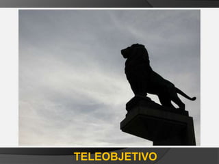 TELEOBJETIVO
 