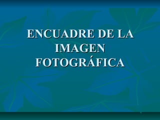 ENCUADRE DE LA
IMAGEN
FOTOGRÁFICA

 