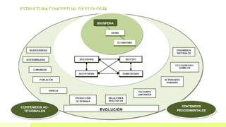 ESTRUCTURA CONCEPTUAL DE ECOLOGÍA
 