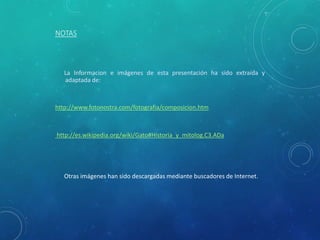 NOTAS
La Informacion e imágenes de esta presentación ha sido extraída y
adaptada de:
http://www.fotonostra.com/fotografia/composicion.htm
http://es.wikipedia.org/wiki/Gato#Historia_y_mitolog.C3.ADa
Otras imágenes han sido descargadas mediante buscadores de Internet.
 