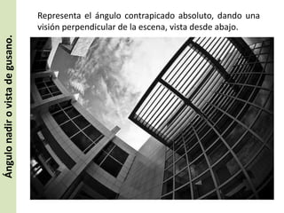 Ángulo nadir o vista de gusano.

Representa el ángulo contrapicado absoluto, dando una
visión perpendicular de la escena, vista desde abajo.

 