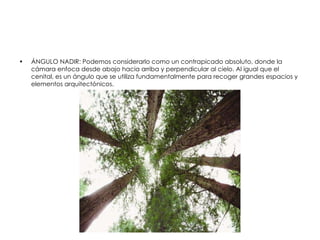 ÁNGULO NADIR: Podemos considerarlo como un contrapicado absoluto, donde la cámara enfoca desde abajo hacia arriba y perpendicular al cielo. Al igual que el cenital, es un ángulo que se utiliza fundamentalmente para recoger grandes espacios y elementos arquitectónicos. 