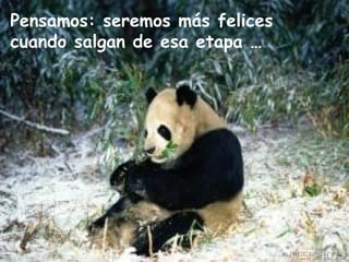 Pensamos: seremos más felices cuando salgan de esa etapa … 