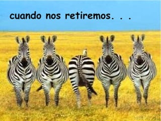 cuando nos retiremos. . . 