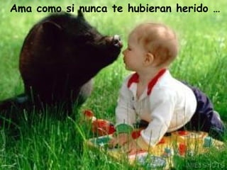 Ama como si nunca te hubieran herido … 