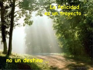 La felicidad  es un trayecto … no un destino … 