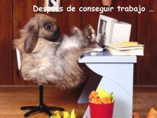 Después de conseguir trabajo … 