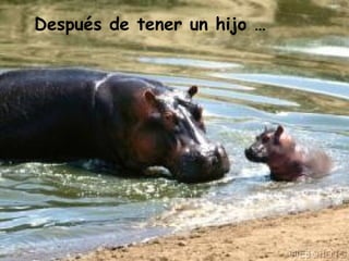 Después de tener un hijo … 