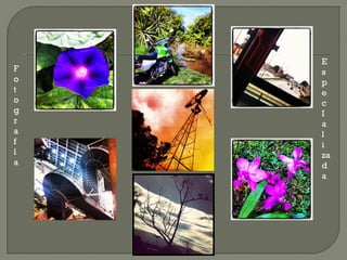 E
F   s
o   p
t   e
o   c
g   I
r   a
a   l
f   i
í   za
a   d
    a
 