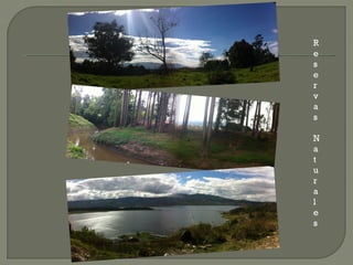 R
e
s
e
r
v
a
s

N
a
t
u
r
a
l
e
s
 