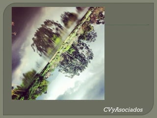 CVyAsociados
 