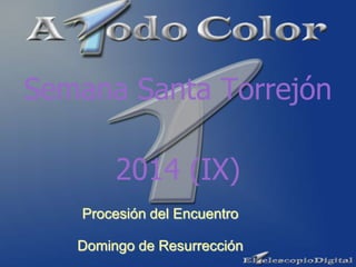 Procesión del Encuentro
Domingo de Resurrección
Semana Santa Torrejón
2014 (IX)
 