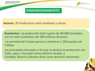 DIMENSIONAMIENTO


Actores: 70 Productores entre medianos y chicos.


Económico: La producción total supera las 80.000 toneladas
con un valor económico de 180 millones de pesos.
 La actividad del Cluster genera y mantiene 1.300 puestos de
trabajo.
Los principales mercados a los que se destina la producción son
Salta, Jujuy y Tucumán como destinos locales, y
Córdoba, Rosario y Buenos Aires como destinos nacionales.
 