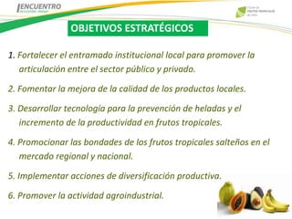 OBJETIVOS ESTRATÉGICOS

1. Fortalecer el entramado institucional local para promover la
   articulación entre el sector público y privado.

2. Fomentar la mejora de la calidad de los productos locales.

3. Desarrollar tecnología para la prevención de heladas y el
   incremento de la productividad en frutos tropicales.

4. Promocionar las bondades de los frutos tropicales salteños en el
   mercado regional y nacional.

5. Implementar acciones de diversificación productiva.

6. Promover la actividad agroindustrial.
 