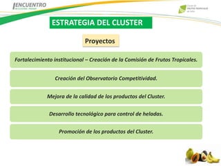 ESTRATEGIA DEL CLUSTER

                             Proyectos

Fortalecimiento institucional – Creación de la Comisión de Frutos Tropicales.


                Creación del Observatorio Competitividad.


             Mejora de la calidad de los productos del Cluster.

              Desarrollo tecnológico para control de heladas.


                  Promoción de los productos del Cluster.
 
