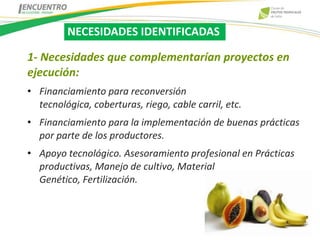 NECESIDADES IDENTIFICADAS

1- Necesidades que complementarían proyectos en
ejecución:
• Financiamiento para reconversión
  tecnológica, coberturas, riego, cable carril, etc.
• Financiamiento para la implementación de buenas prácticas
  por parte de los productores.
• Apoyo tecnológico. Asesoramiento profesional en Prácticas
  productivas, Manejo de cultivo, Material
  Genético, Fertilización.
 