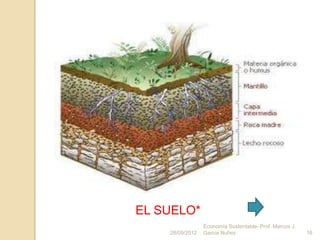 EL SUELO*
                 Economía Sustentable- Prof. Marcos J.
    28/09/2012   Garcia Nuñez                            16
 