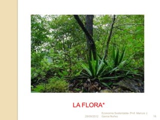 LA FLORA*
                Economía Sustentable- Prof. Marcos J.
   28/09/2012   Garcia Nuñez                            18
 