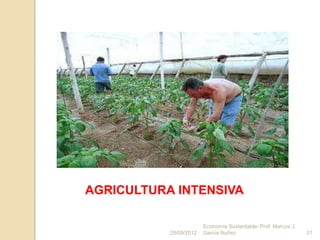 AGRICULTURA INTENSIVA

                        Economía Sustentable- Prof. Marcos J.
           28/09/2012   Garcia Nuñez                            31
 