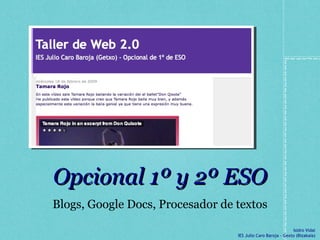 Opcional 1º y 2º ESO Blogs, Google Docs, Procesador de textos 