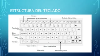 ESTRUCTURA DEL TECLADO
 