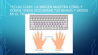 TECLAS GUÍAS: LA IMAGEN MUESTRA CÓMO Y
DÓNDE DEBEN DESCANSAR TUS MANOS Y DEDOS
EN EL TECLADO
 