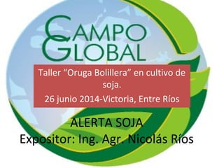 ALERTA SOJA
Expositor: Ing. Agr. Nicolás Ríos
Taller “Oruga Bolillera” en cultivo de
soja.
26 junio 2014-Victoria, Entre Ríos
 