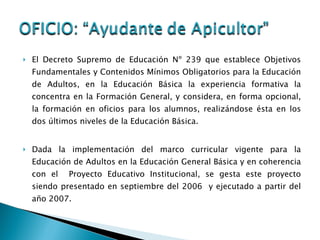 El Decreto Supremo de Educación Nº 239 que establece Objetivos Fundamentales y Contenidos Mínimos Obligatorios para la Educación de Adultos, en la Educación Básica la experiencia formativa la concentra en la Formación General, y considera, en forma opcional, la formación en oficios para los alumnos, realizándose ésta en los dos últimos niveles de la Educación Básica. Dada la implementación del marco curricular vigente para la Educación de Adultos en la Educación General Básica y en coherencia con el  Proyecto Educativo Institucional, se gesta este proyecto siendo presentado en septiembre del 2006  y ejecutado a partir del año 2007. 