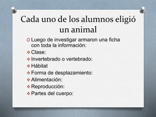 Cada uno de los alumnos eligió 
un animal 
O Luego de investigar armaron una ficha 
con toda la información: 
 Clase: 
 Invertebrado o vertebrado: 
Hábitat 
 Forma de desplazamiento: 
 Alimentación: 
Reproducción: 
Partes del cuerpo: 
 