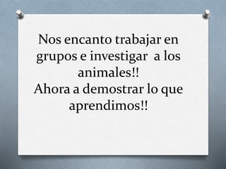 Nos encanto trabajar en 
grupos e investigar a los 
animales!! 
Ahora a demostrar lo que 
aprendimos!! 
 