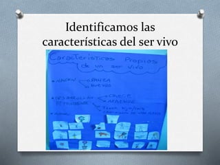 Identificamos las 
características del ser vivo 
 