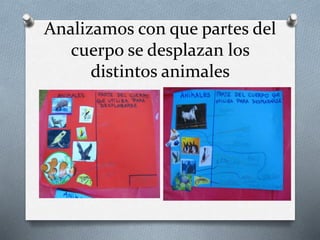Analizamos con que partes del 
cuerpo se desplazan los 
distintos animales 
 