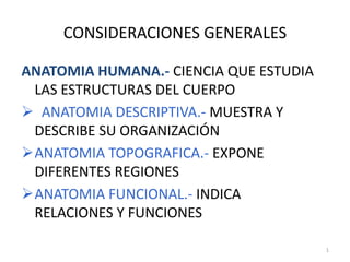 1
CONSIDERACIONES GENERALES
ANATOMIA HUMANA.- CIENCIA QUE ESTUDIA
LAS ESTRUCTURAS DEL CUERPO
 ANATOMIA DESCRIPTIVA.- MUESTRA Y
DESCRIBE SU ORGANIZACIÓN
ANATOMIA TOPOGRAFICA.- EXPONE
DIFERENTES REGIONES
ANATOMIA FUNCIONAL.- INDICA
RELACIONES Y FUNCIONES
 