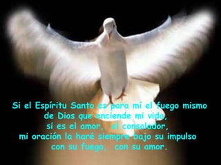 Si el Espíritu Santo es para mí el fuego mismo de Dios que enciende mi vida,  si es el amor,  el consolador,  mi oración la haré siempre bajo su impulso  con su fuego,  con su amor. 