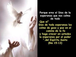Porque eres el Dios de la esperanza que nos colma de todo   “ Que el Dios de toda esperanza los colme de gozo y paz en el camino de la fe  y haga crecer en ustedes la esperanza por el poder del Espíritu Santo.” (Rm 15:13) 